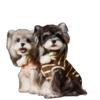 Tony Bear Pet Clothes Winter Sleeveless Vest Cute Felt Cookie Sweatshirt Bichon Schnauzer Teddy Small Dogs