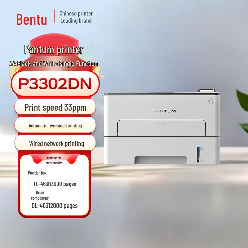 Pantum A4 Laser Printers & Multifunction Devices CN plug (adapter included)