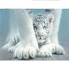 Full 5D Diy Diamond Painting Cartoon Animal Little Tiger Embroidery Cross Stitch Home Decor Handmade