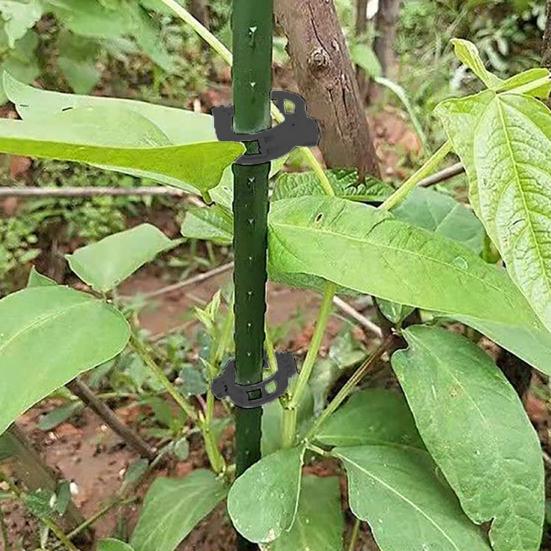 Зажим для фиксации растений Многоразовые зажимы для томатной лозы Садовые зажимы для поддержки растений для томатов, винограда, овощей Вертикальное садоводство
