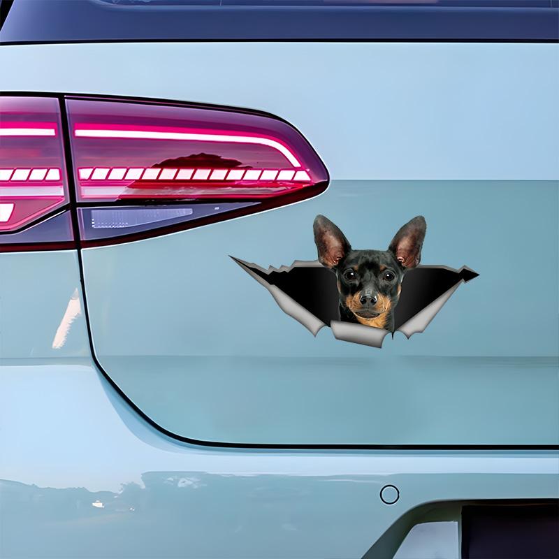 Cute Pinscher 3D Break the Wall Car Sticker, Waterproof Vinyl Material Accessories, Interesting Creativity For Cars, Trucks, Motorcycles, Walls
