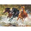 5D DIY Алмазная картина «Беги на лошади» Алмазная вышивка Крестом Горный хрусталь Мозаика Картина