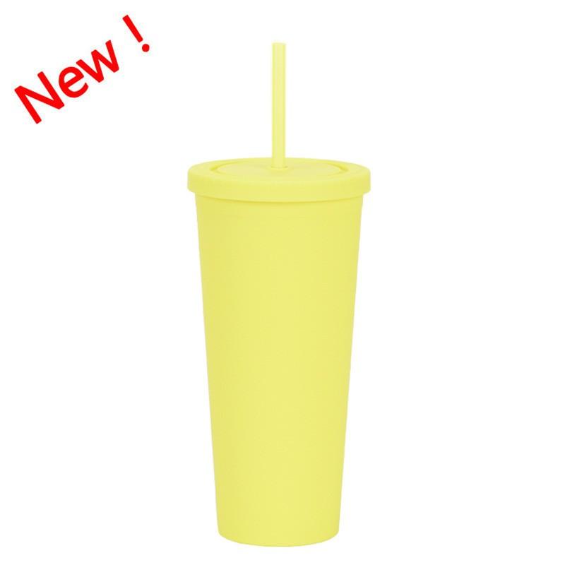 Double Wall Plastic Tumbler With Straw 24oz Large Capacity Matte Finish Travel Cup Office Home Car Outdoor