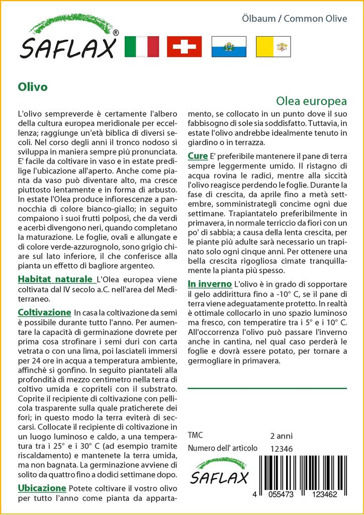 SAFLAX Олива обыкновенная - 20 семян - Olea europea