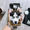 Чехол для телефона с собакой сибирского хаски для Samsung Galaxy A12 A22 A32 A42 A52 A72 A51 A71 5G A41 A31 A21 A02S M12 M21 M31 M30S Fundas