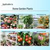 Deworduo Fermented Sheep Manure Organic Plant Fertilizer