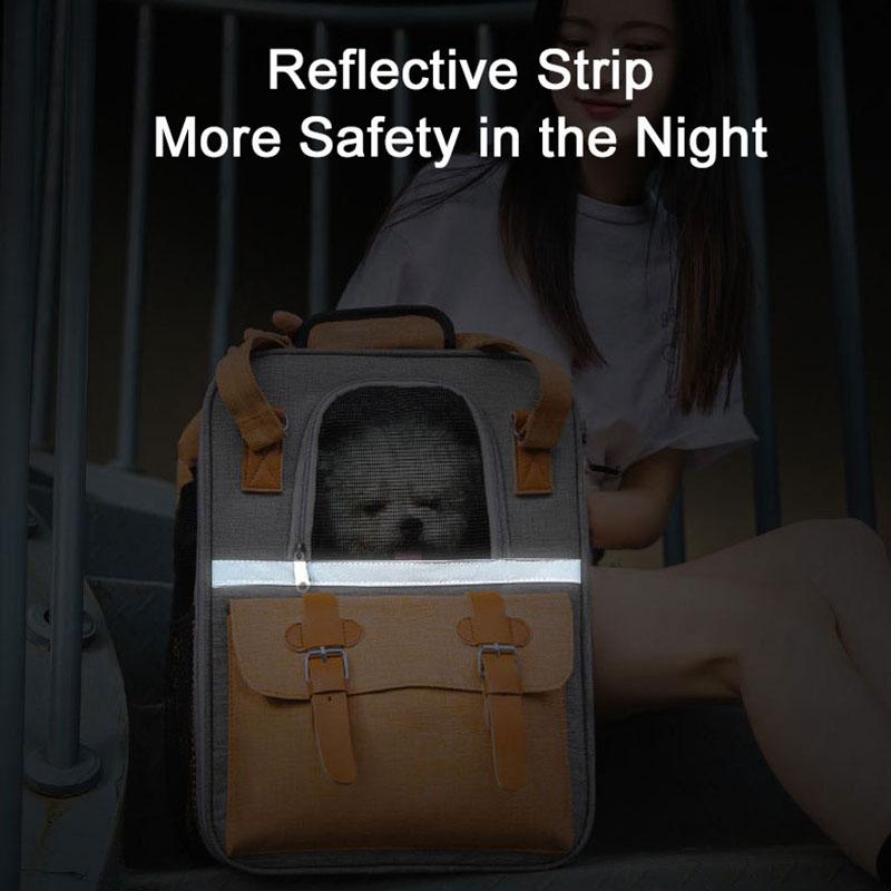 Pet carrier: cats, small dogs