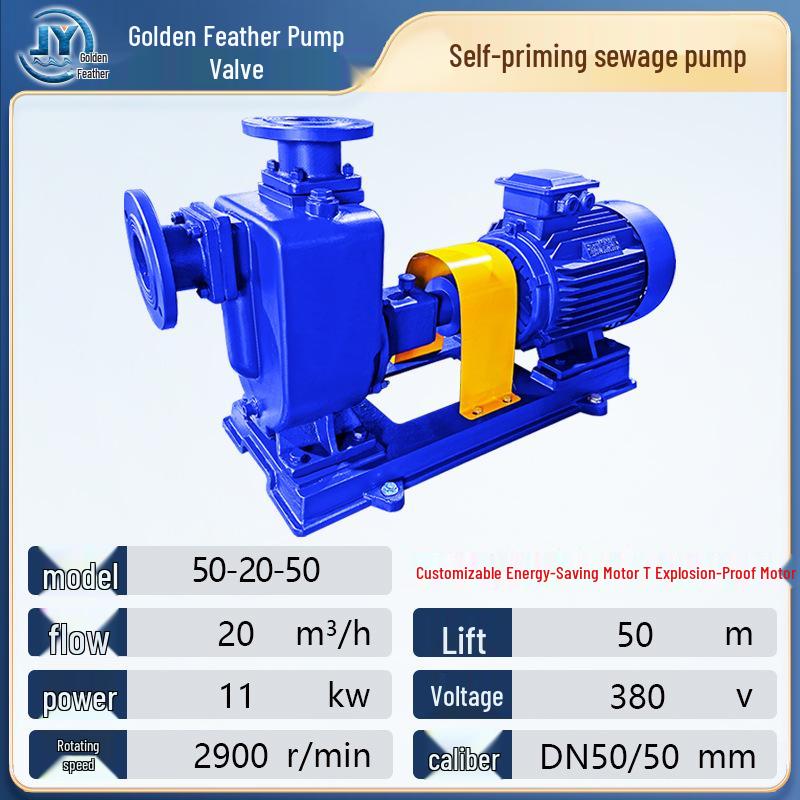 ZW Self-Priming Non-Clog Sewage Pump for Sewage Treatment & River Water Intake, 380V Horizontal Model