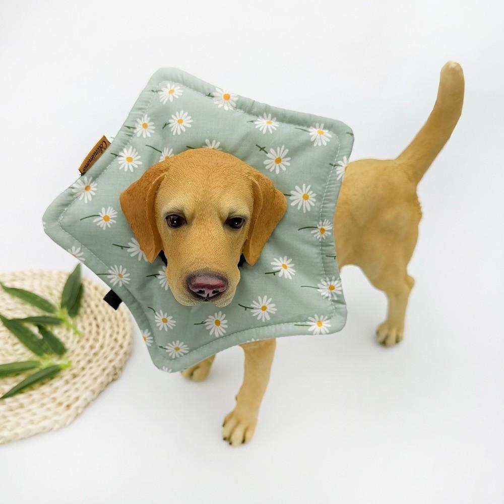 Star Shape Recovery Collar Floral Dog Muzzle Collar Pet Protection Collar For Small Medium Pet