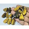 310Cts. Natural Tiger Eye Pear Cabochon Loose Gemstone 14Pcs Lot 23-33 MM C-732