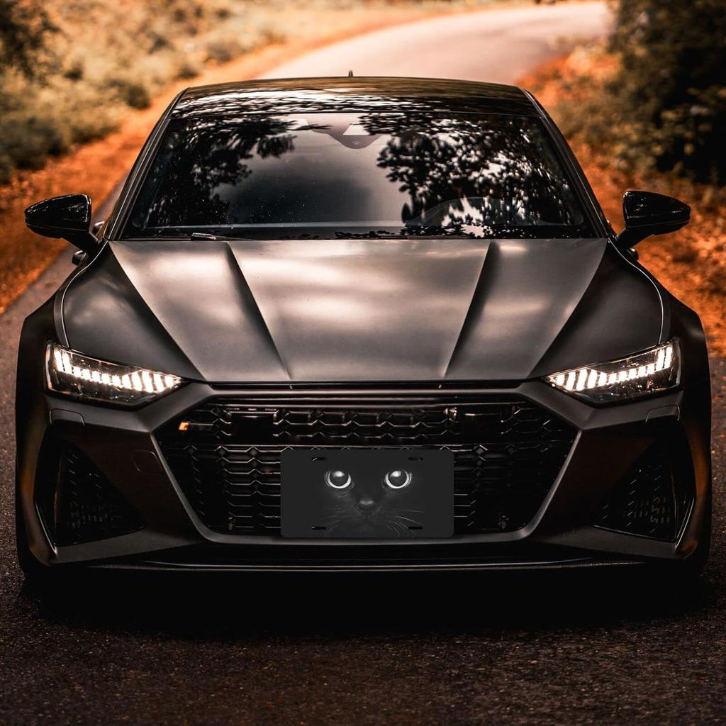 Black Cat Eyes Watching Front License Plate Aluminum Decorative License Plates Funny Metal Car Plate 6"X12" Novelty Vanity Tag Cover With 4 Holes Car