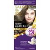 Salon de Pro Foam Hair Color Extra Rich (для седых волос) 3А 50г + 50г (Квази-лекарство) Другие для седых волос Краситель для седых волос Всегда выполняет