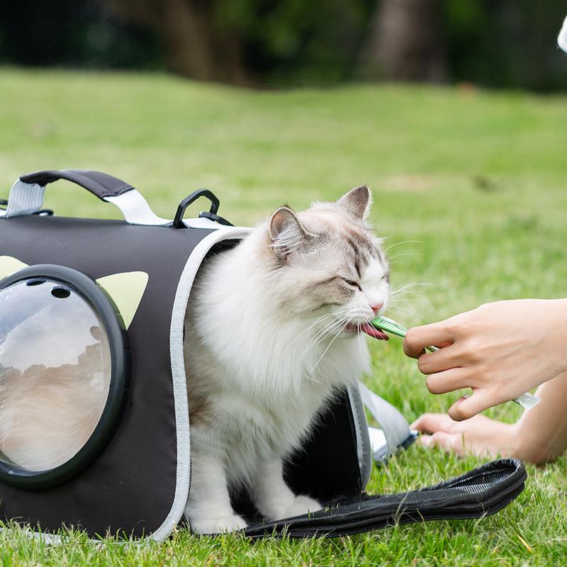 Рюкзаки для переноски кошек, сумки для переноски домашних животных для маленьких собак, прозрачные окна, дышащие переноски для собак и кошек для путешествий на открытом воздухе