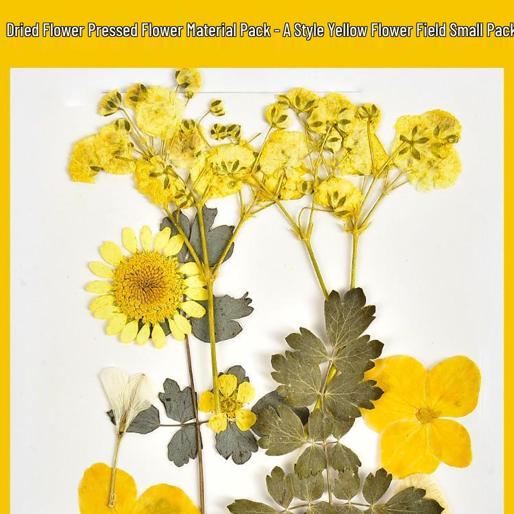 Autumn Dried Flower Bookmark Kit: Transparent Leaf Specimen with Lamination Film Stickers