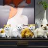 3D глаза реалистичная кошка мягкая кукла животное реалистичная кошка плюшевая игрушка ребенок