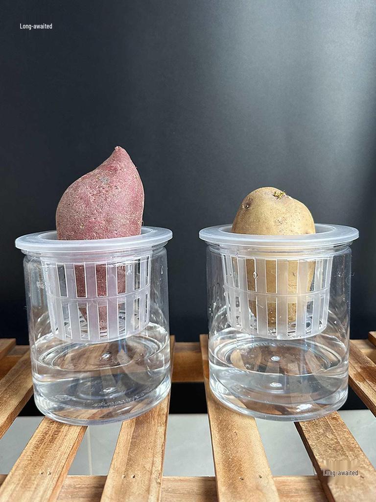 Transparent Plastic Hydroponic Planting Cylinder for Garlic, Potatoes, Beans, and Vegetables