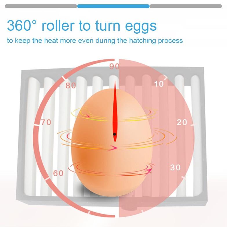 110V/220V Eggs Incubator Brooder Bird Quail Incubator Chick Hatchery Incubator Poultry Hatcher Turner Automatic Farm Incubation Tools