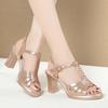 Fashion Elegant Block Heels For Women Fashion Summer High Quality Soft Leather Sandals Office Ladies T-Strap Buckle Strap Shoes Fashion