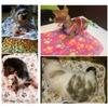 Soft Comfortable Sleeping Puppy Dog Paw Pattern Dog Cushion Mat Pet Blanket Mat Kennel
