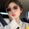 Square Oversized Sunglasses Beach Travel Streetwear Shades Metal Frame Sun Glasses Women Men Driving Cycling Eyewear
