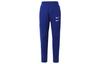 Nike Коллекция Sports Life Повседневные брюки мужские CU3899-455