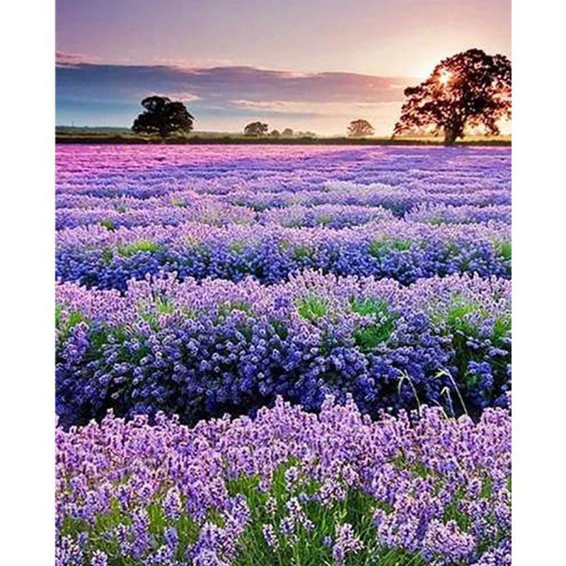 5D DIY Алмазная картина Интересные животные и пейзажи Алмазная вышивка Набор для вышивки крестом Полный горный хрусталь Мозаика Домашний декор