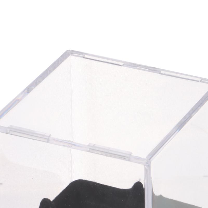 Baseball Box Display Golf Tennis Ball Transparent Case For Souvenir Storage Box