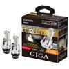 BW906 GIGA HID D4S LED Head Bulb D10 Series, 4500K, Japanese Design, 3 Years Warranty, With Pong