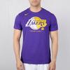 Nike T Shirts Men's Purple Crew Neck Moderate Straight Fit AT0422-547