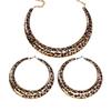 Stylish Leopard Pattern Earring And Necklace Set Trendy Leopard Jewelry Set Featuring Necklace and Earrings for Women