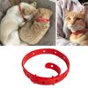 Cat Anti Flea Mite Tick Collar No Flea Grooming Tool Quadruple Removal Flea