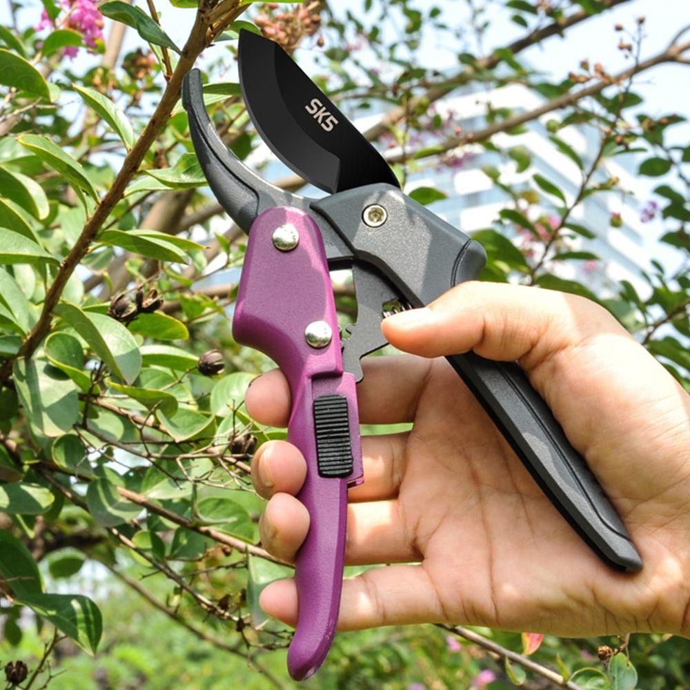 Ручные ножницы для сбора фруктов SK5, стальной секатор, инструмент для обрезки, ножницы для обрезки веток, сад