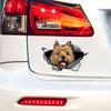 Cairn Terrier Car Stickers, Weather-Resistant Vinyl Stickers for Windows, Bumper Crafts - PVC Material Vehicle Decals