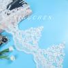 Width 22Cm Car Bone Lace Lace Sequins Wedding Accessories Lace Mesh, Dress Skirt Lace Accessories