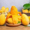 Fresh Hainan Golden Phoenix Mangoes, 5 Jin Pack
