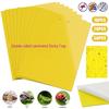 Yellow Double-Sided Sticky Trap - Insect Lure for Garden, Potted Plants, Greenhouse, Orchard Pest Control