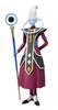Whis Ball Интернет-магазин SHFiguarts "Дракон Супер" (Тамасии Эксклюзив)