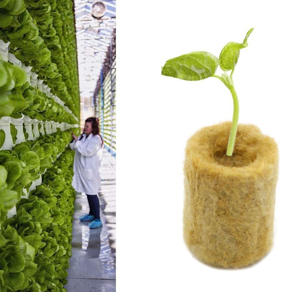50PCS Hydroponic Substrate Rock Wool Plug Garden Sponge Nursery Block Plant Propagation