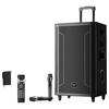 Портативная Bluetooth KTV колонка Newmine N527 15 дюймов (Китайская версия)