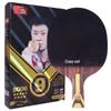 Профессиональная ракетка для настольного тенниса DHS H-Series