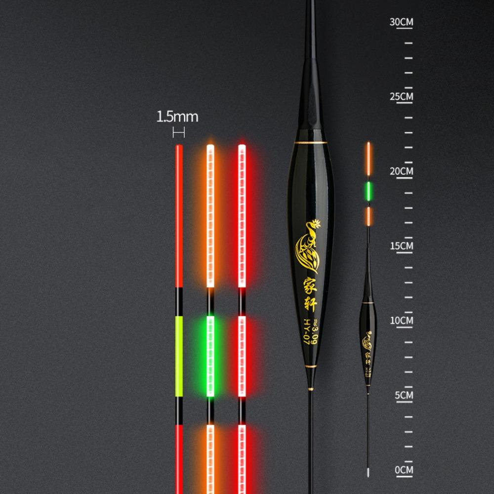 Long Tail Electronic Fishing Float 2 Light Rock Fishing Floats New Light Float  Night Fishing