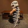 Dinosaur Skeleton Headpiece: A quirky hat for adults and children, perfect as a soft toy gift