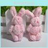 Adorable Mini Cute Plush Toy Tiny Rabbit Bear Doll With Soft And Cozy Feel