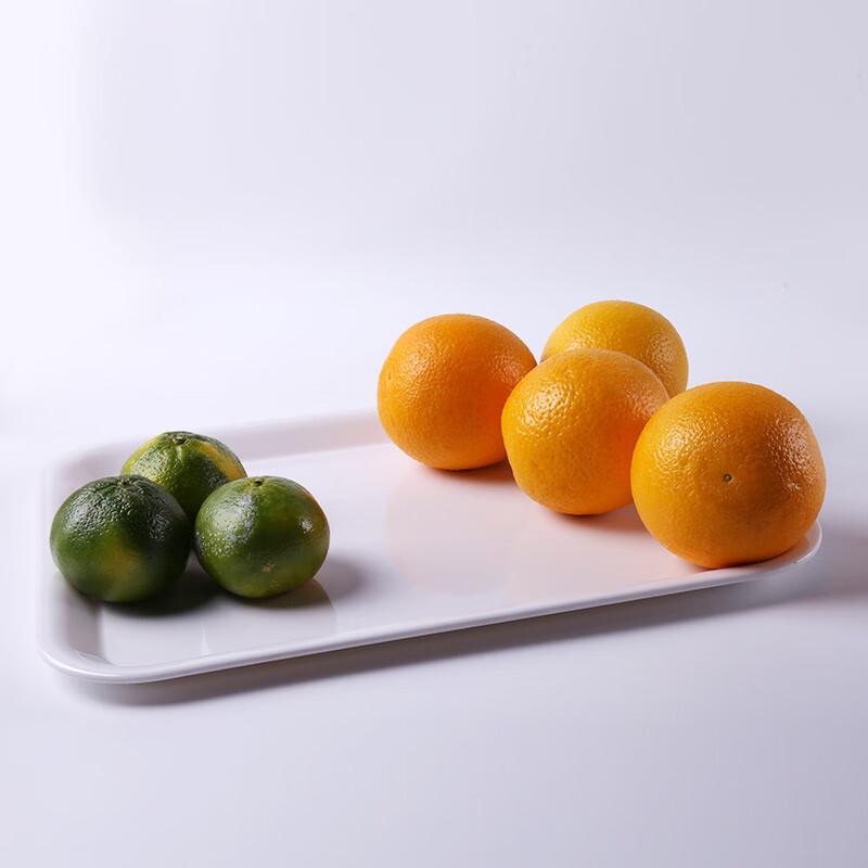 Japanese Style A5 Melamine Serving Tray