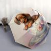 1pc Teacup Puppies Umbrella with Plastic Handle,Suitable for All Seasons Home Travel Outdoor Umbrellaptys31030