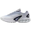 Женские кроссовки Air Max Dn Premium Вольф Грей Пьюр Платинум Аврора Грин Уайт HQ0013-001