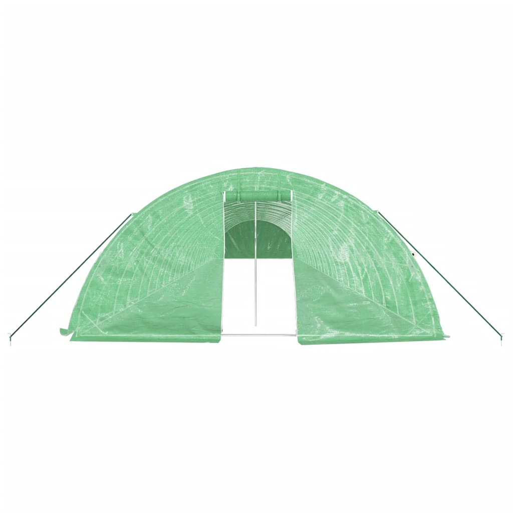 Green Greenhouse with Steel Frame 120 m² 24 x 5 x 2.3 m