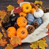 12Pcs Artificial Pumpkins Lightweight Durable Foam Pumpkins for Fall Wedding Thanksgiving Halloween Decor