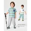 Boys' Sports Pants, Gray Spring and Autumn Style, Children's Casual Pants, 2025 New Style, Boys' and Girls' Spring Clothing, Children's Sweatpants