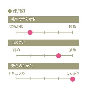 Kumano Makeup Brush (Makeup Brush) Chikuhodo Regular Series Eyeshadow Brush, Weasel R-S9 Black Line